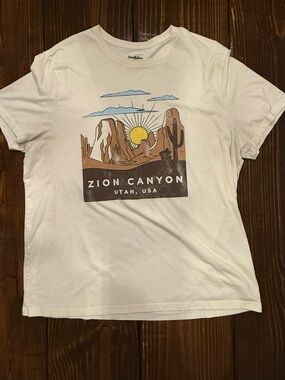 Goodfellow & Co White Zion Canyon Graphic Tee with Brown & Blue Artwork
